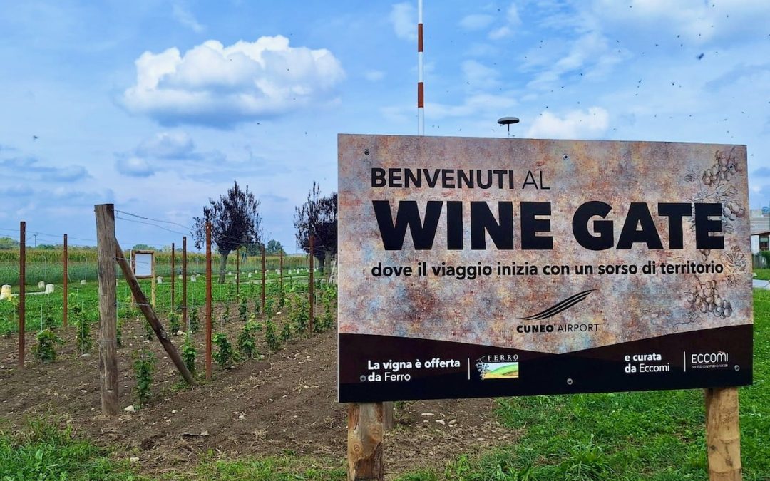 A VINEYARD GREETS PASSENGERS AT CUNEO AIRPORT